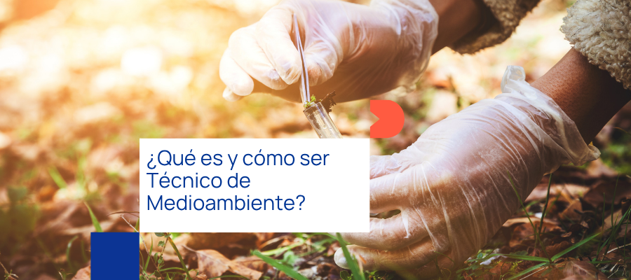 Funciones de un Técnico de Medio Ambiente 