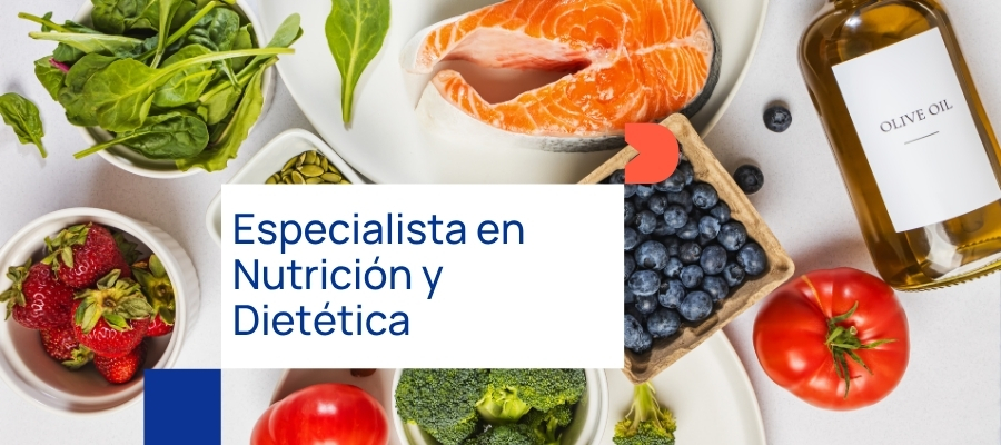 especialista nutrición y dietética