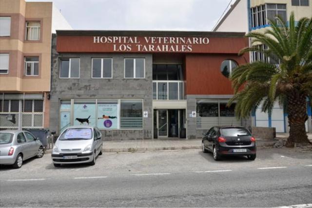 Academia MasterD: Prácticas Autogestionadas