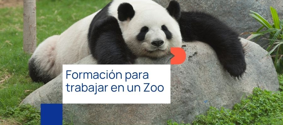 Trabajar en un zoológico