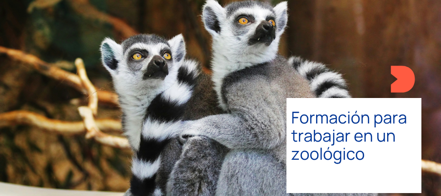 Trabajar en un zoológico