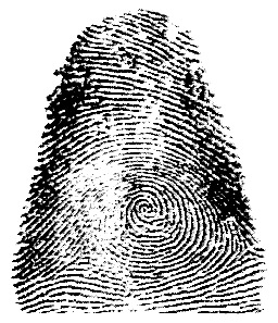 Huella digital y búsqueda de empleo