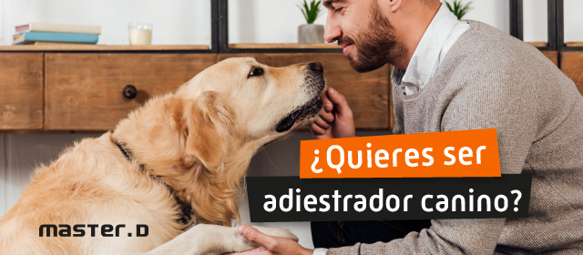 Trabajar de adiestrador canino