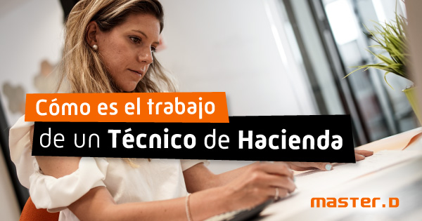 funciones tecnico hacienda funciones tecnico hacienda
