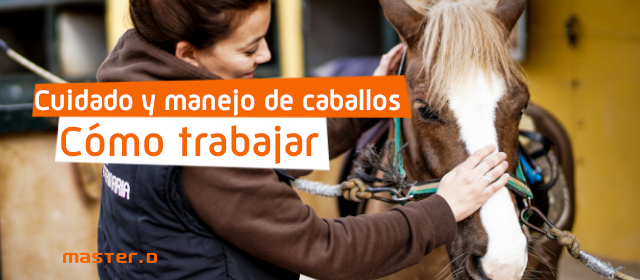 trabajo con caballos