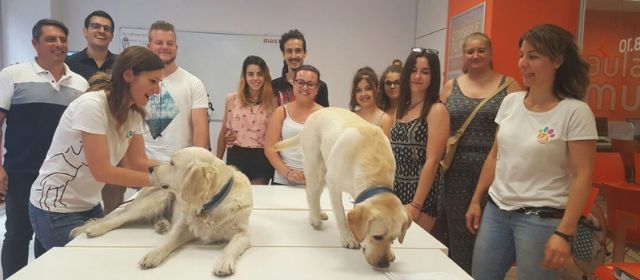 Cursos para trabajar con animales 