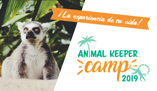 Campamento cuidadores zoológicos