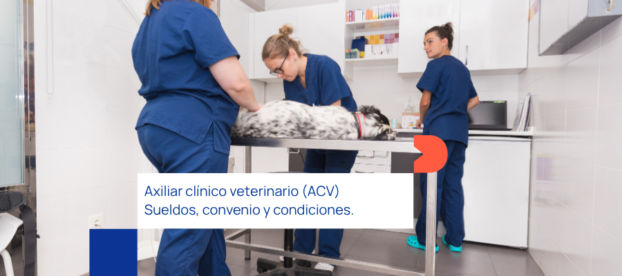 Sueldo Asistente Técnico Veterinario