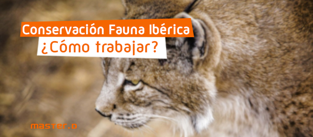 que es conservacion de fauna