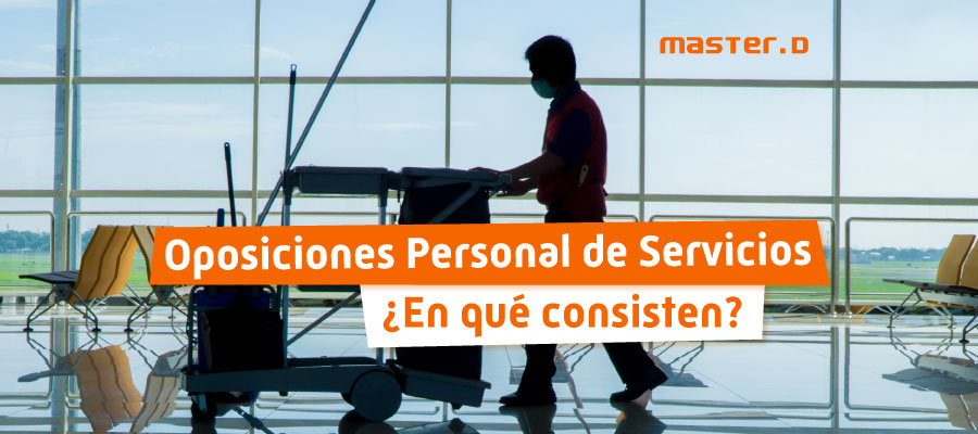 personal auxiliar de servicios