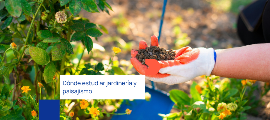 Dónde estudiar para ser jardinero paisajista