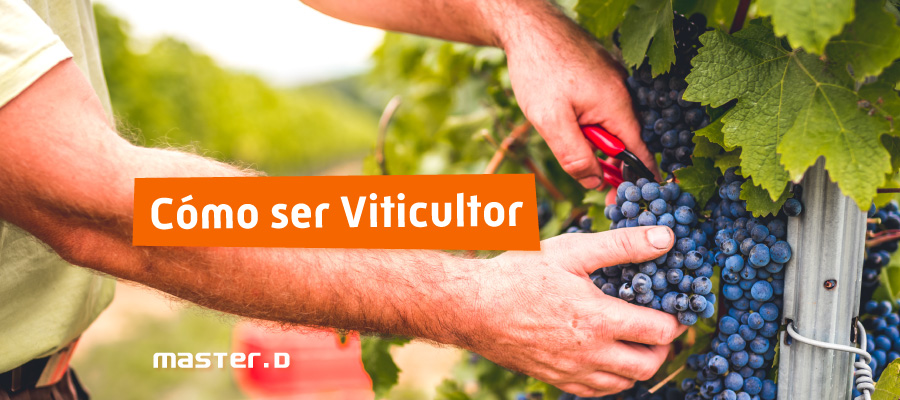 Salidas profesionales viticultor