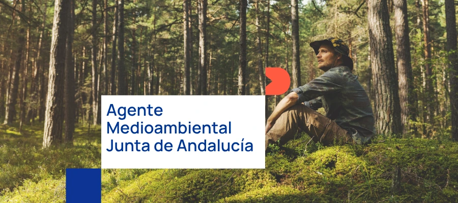 Salario Ayudante Técnico de Medioambiente de Andalucía 