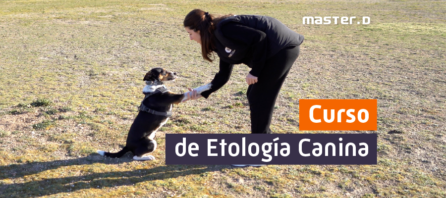 Curso de Etología Canina