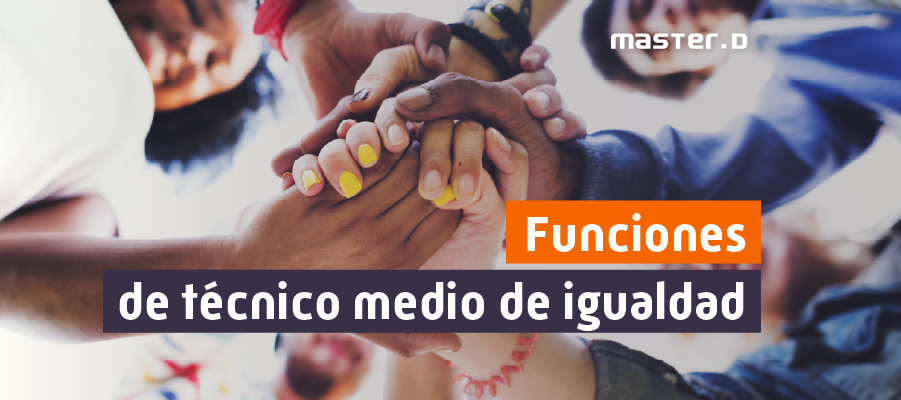 Funciones del técnico de igualdad