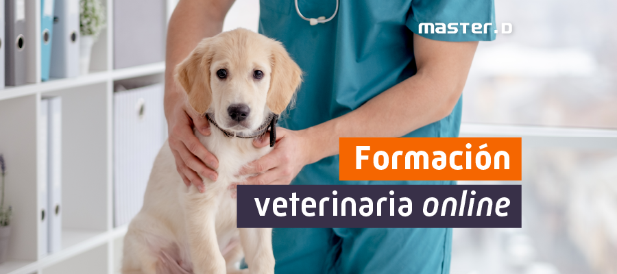 Estudiar veterinaria a distancia