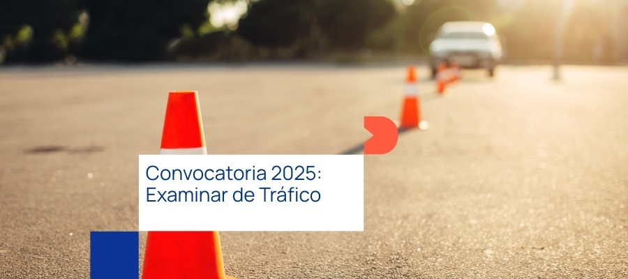 Examinador de tráfico