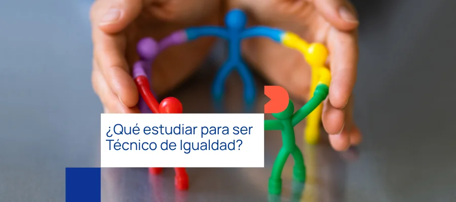 técnico de igualdad