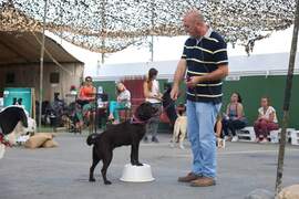 Actividades Caninas