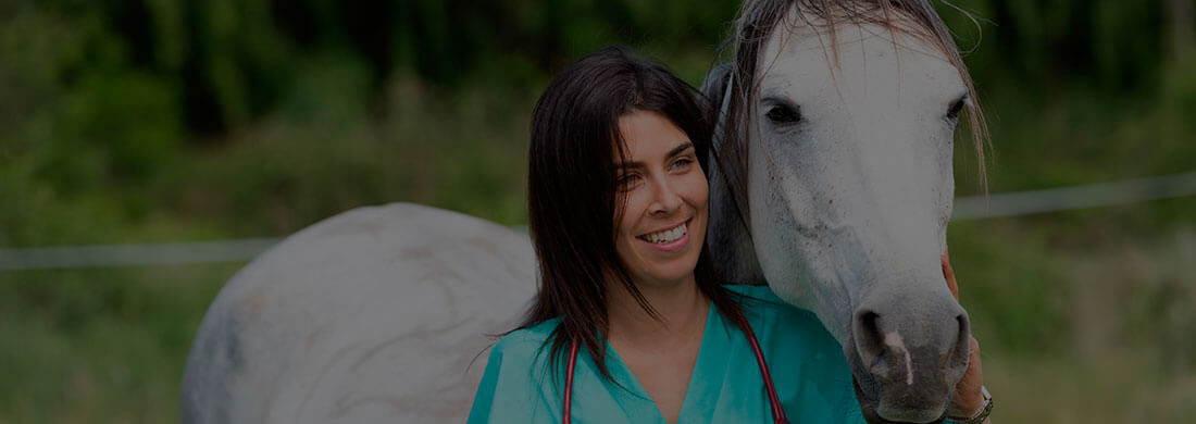 Curso Auxiliar Veterinario Ecuestre y Cuidador de Caballos