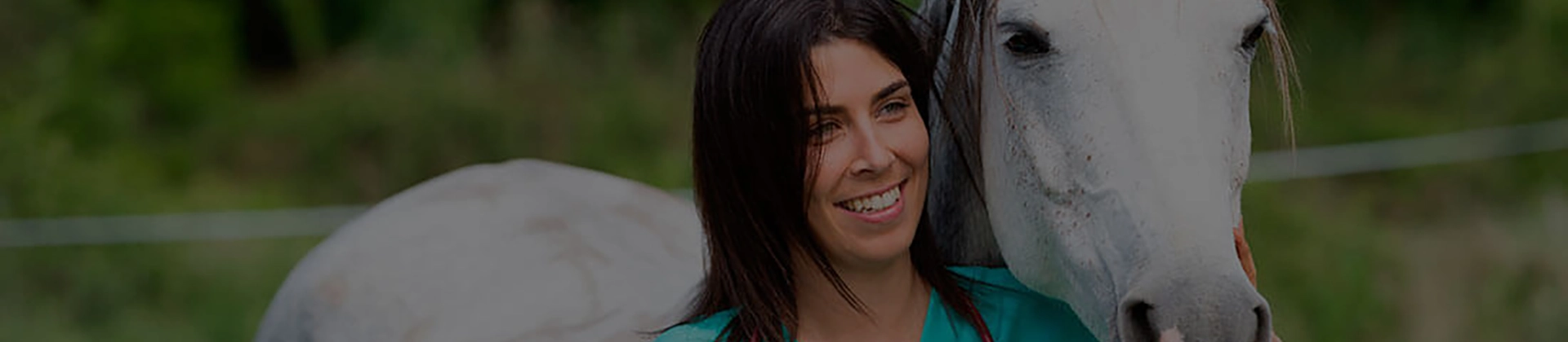 Curso Auxiliar Veterinario Ecuestre y Cuidador de Caballos