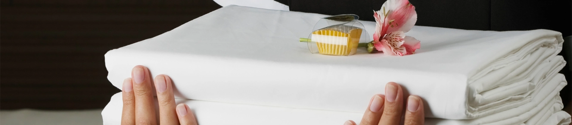 Certificado de Profesionalidad en Gestión de pisos y limpieza en alojamientos