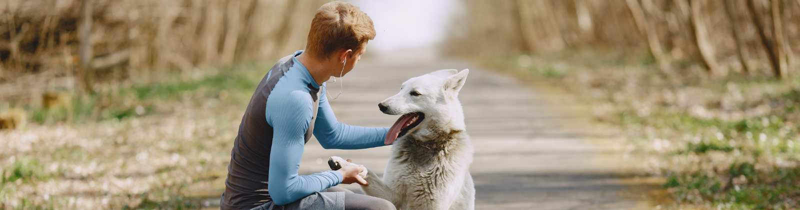 Curso Adiestramiento Canino Curso Adiestramiento Canino