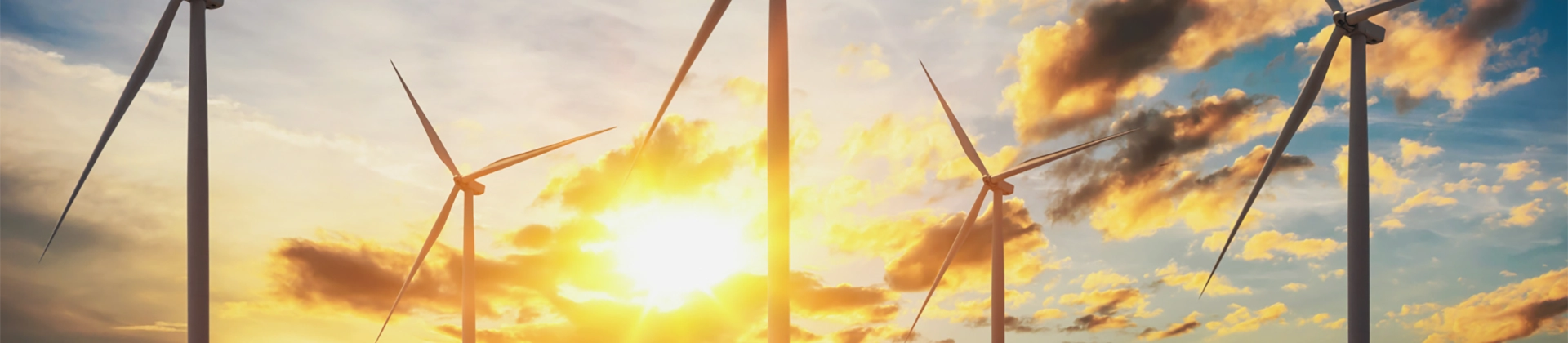 Curso Energía Eólica