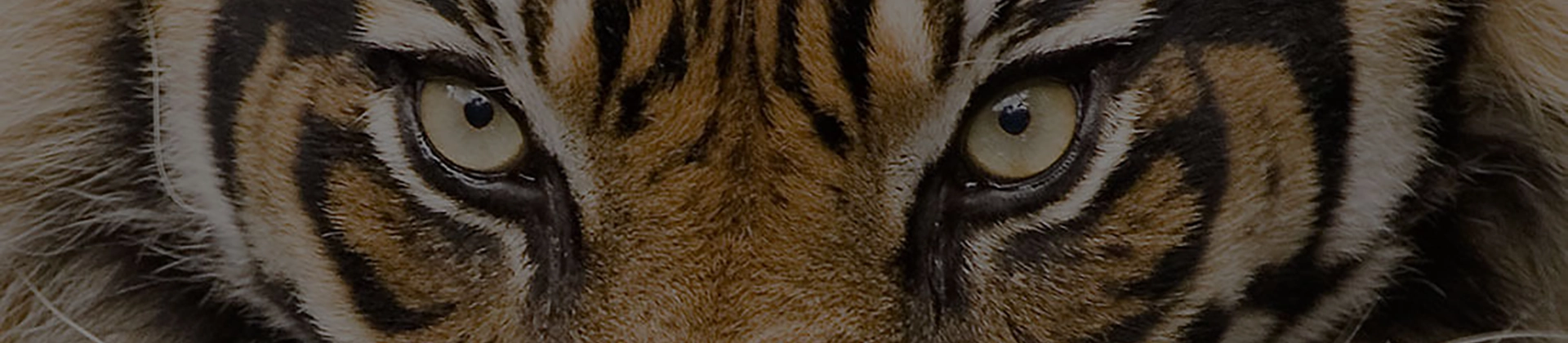 Curso Zoología