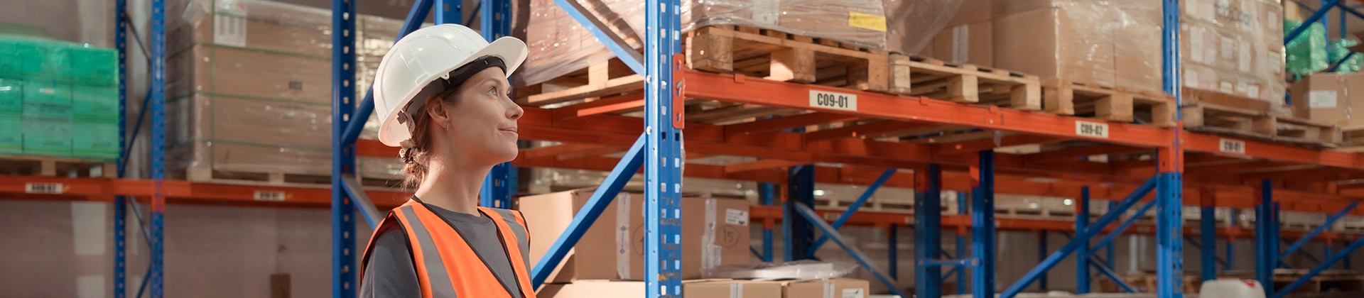 Curso Supply Chain y Gestión de Almacenes