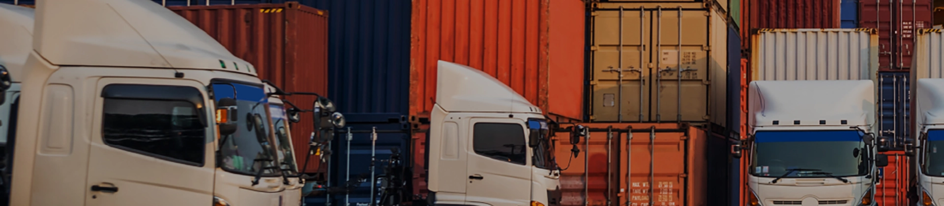 Curso Tráfico de Mercancías