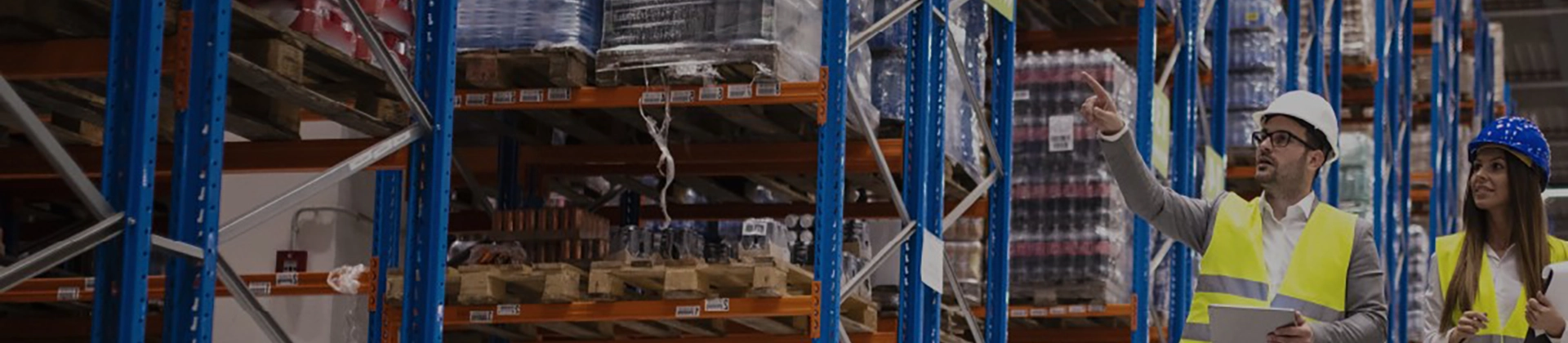 Curso Gestión de Transporte