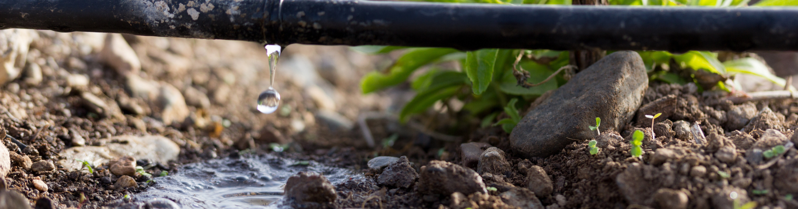 Curso Agricultura 