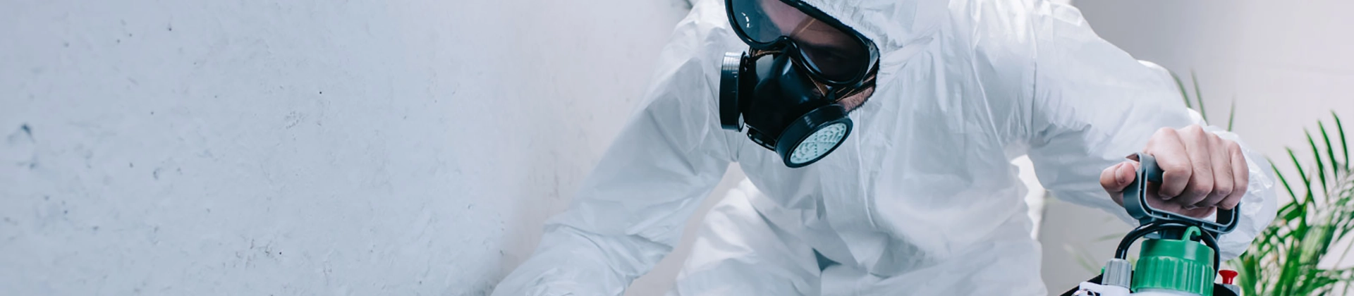 Curso Control de Plagas