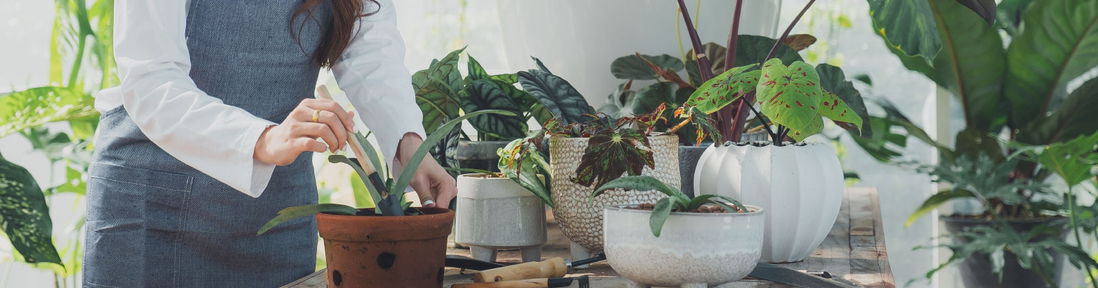 Curso Jardinería y Paisajismo