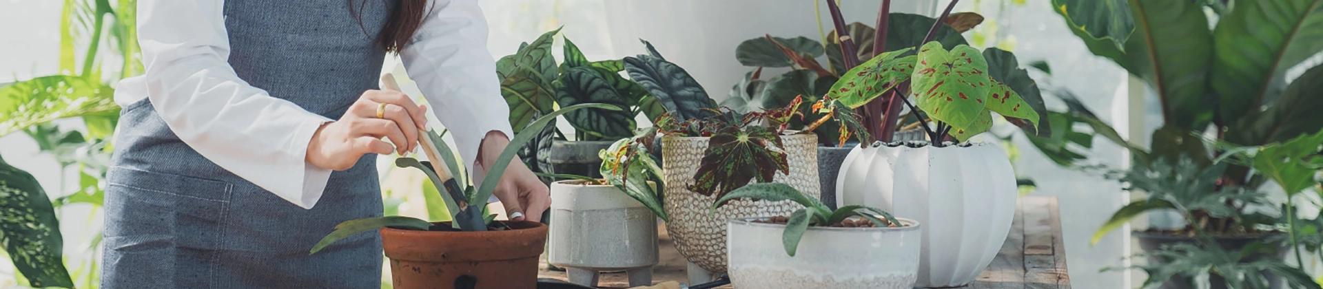 Curso Jardinería y Paisajismo