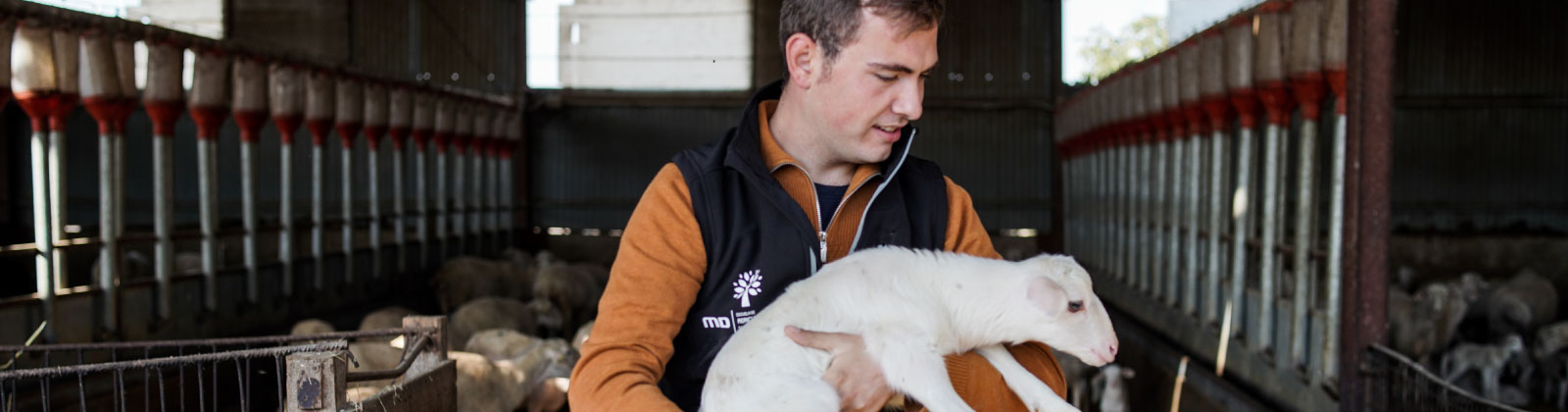 Curso Ganadería y Asistencia Sanitaria Animal