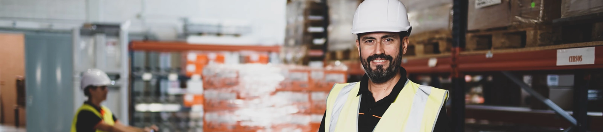 Máster Organización industrial