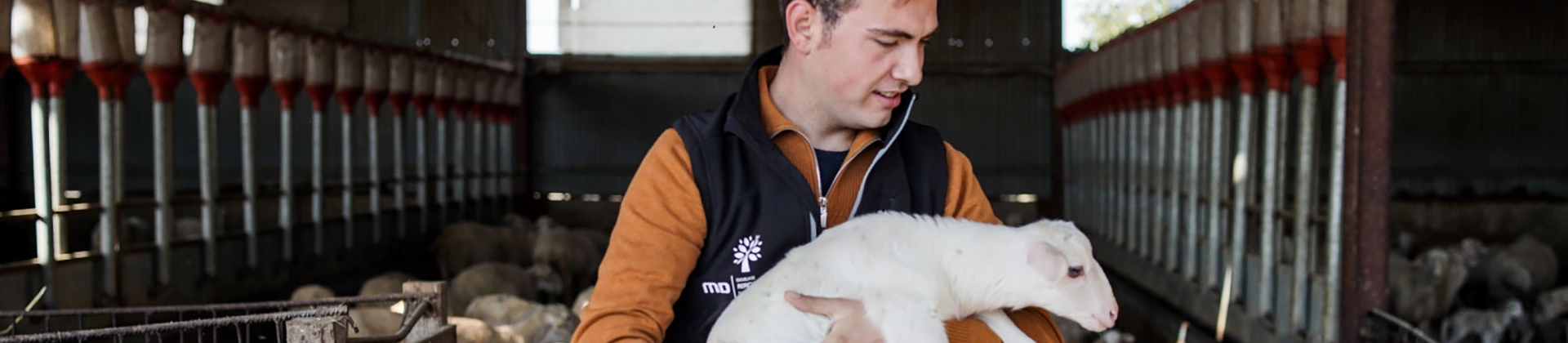 Curso Bienestar Animal en Explotaciones Ganaderas