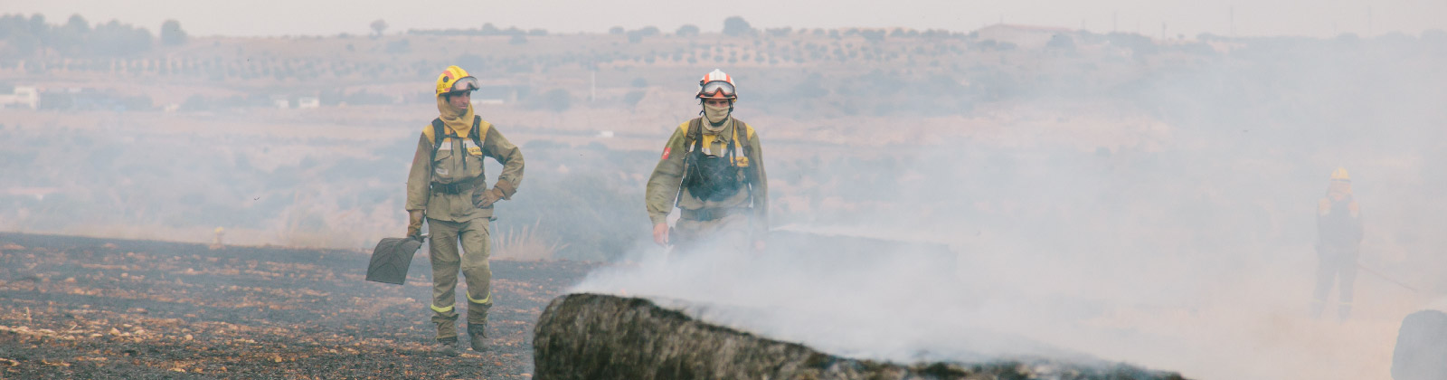 Oposiciones Bombero Forestal 2023 Requisitos Y Preparación