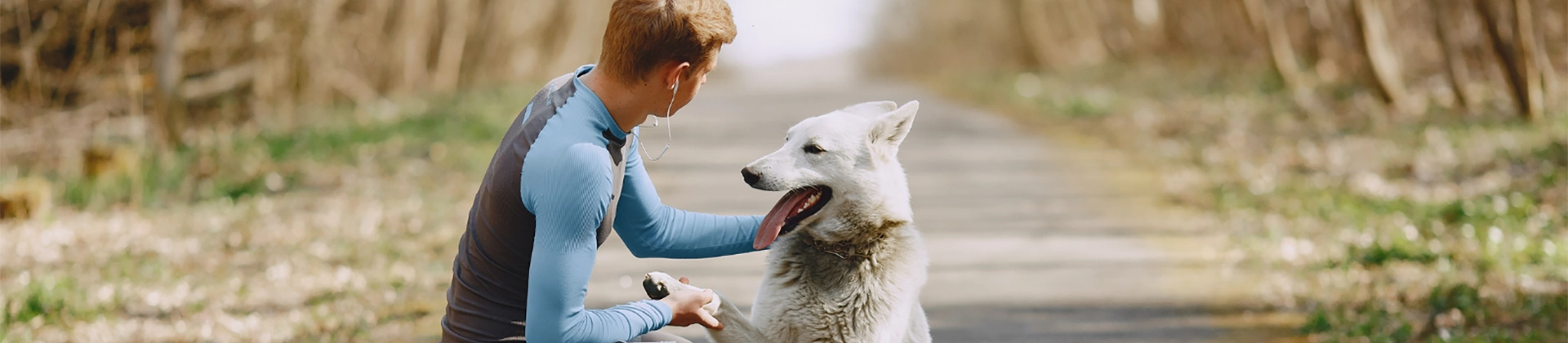 Curso Etología Canina