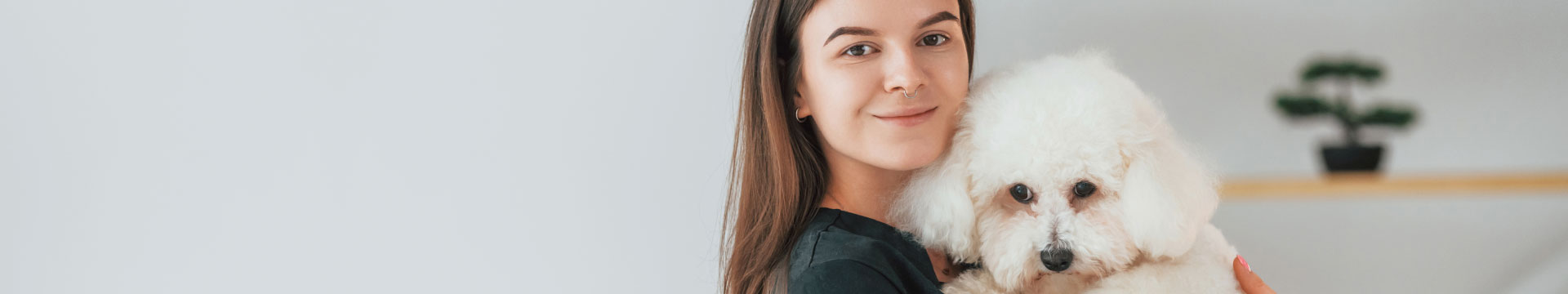 Cursos de Perros y Gatos