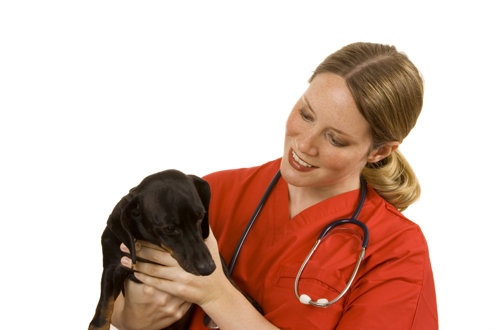 Taller de veterinaria MasterD: manejo de animales