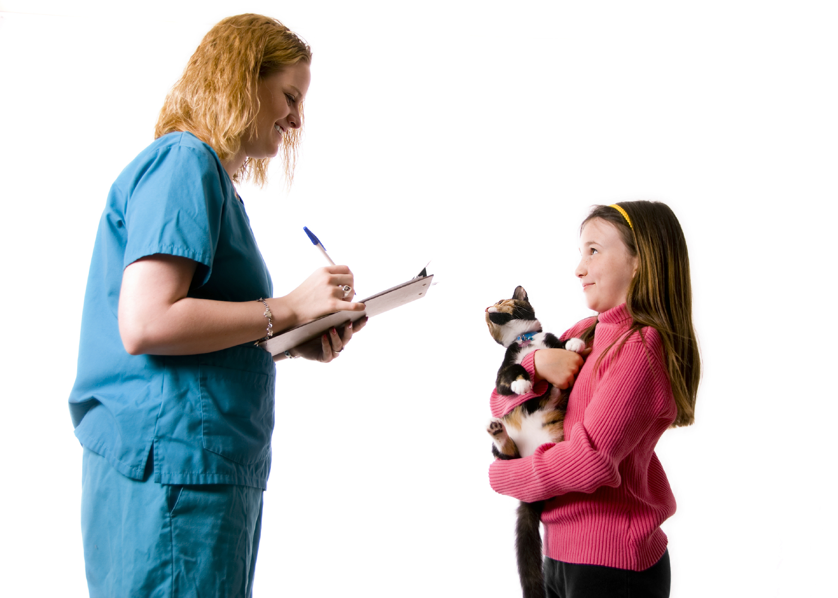 Mercado laboral en el sector del Auxiliar y Asistente Técnico en una clínica veterinaria