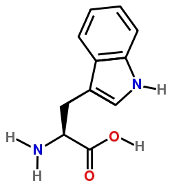 Triptófano: el aminoácido que te ayuda a ser feliz
