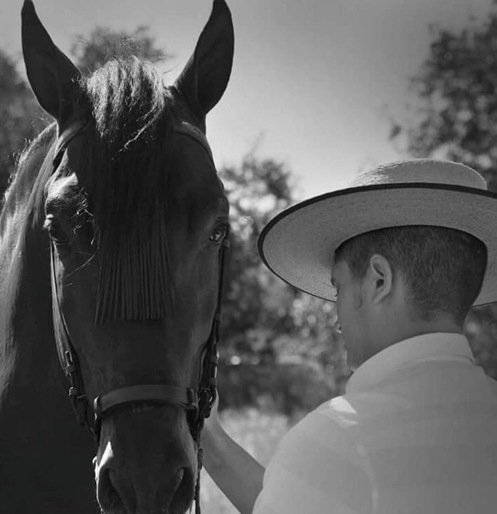 Nacer y vivir con caballos