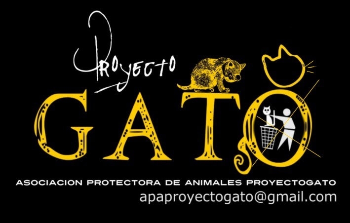 Proyecto Gato