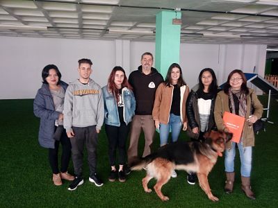 Visita a KNi2: Adiestramiento y educación canina en Bilbao