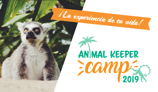 Campamento Animal Keeper Camp en Oasis Wildlife Fuerteventura