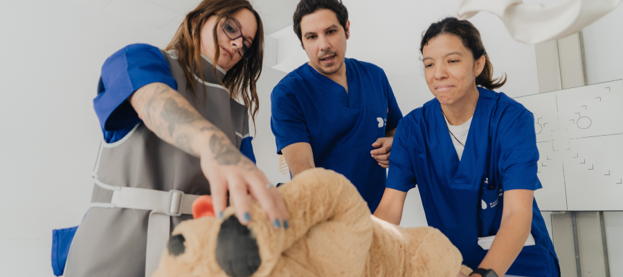 Opiniones Escuela Veterinaria Davante